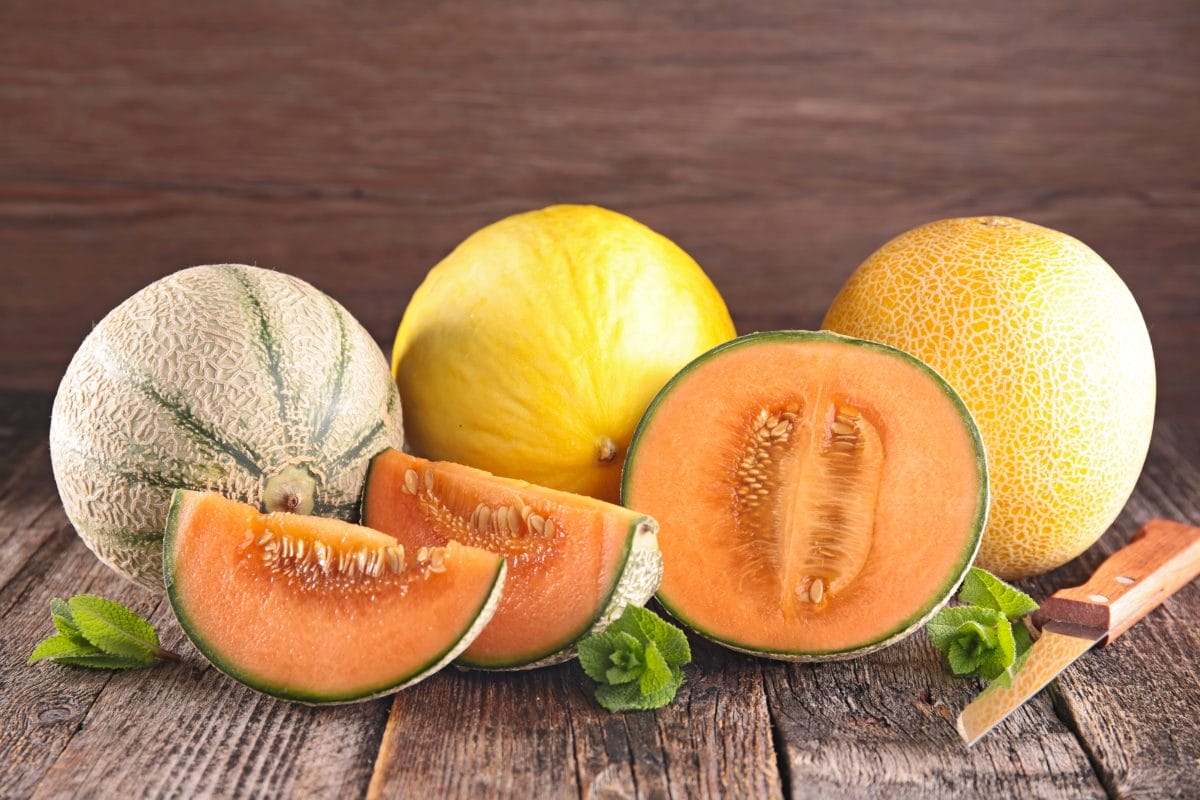 Jak smakuje melon Jakie ma właściwości i z czym go jeść