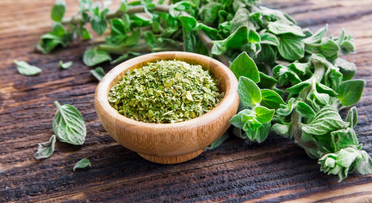 Oregano i jego zdrowotne właściwości