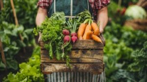 Czym się różni BIO/EKO/organic?