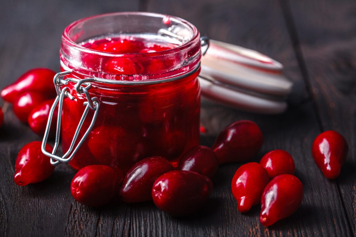 Przepisy z dereniem jadalnym – dżemy, kompoty i domowe nalewki