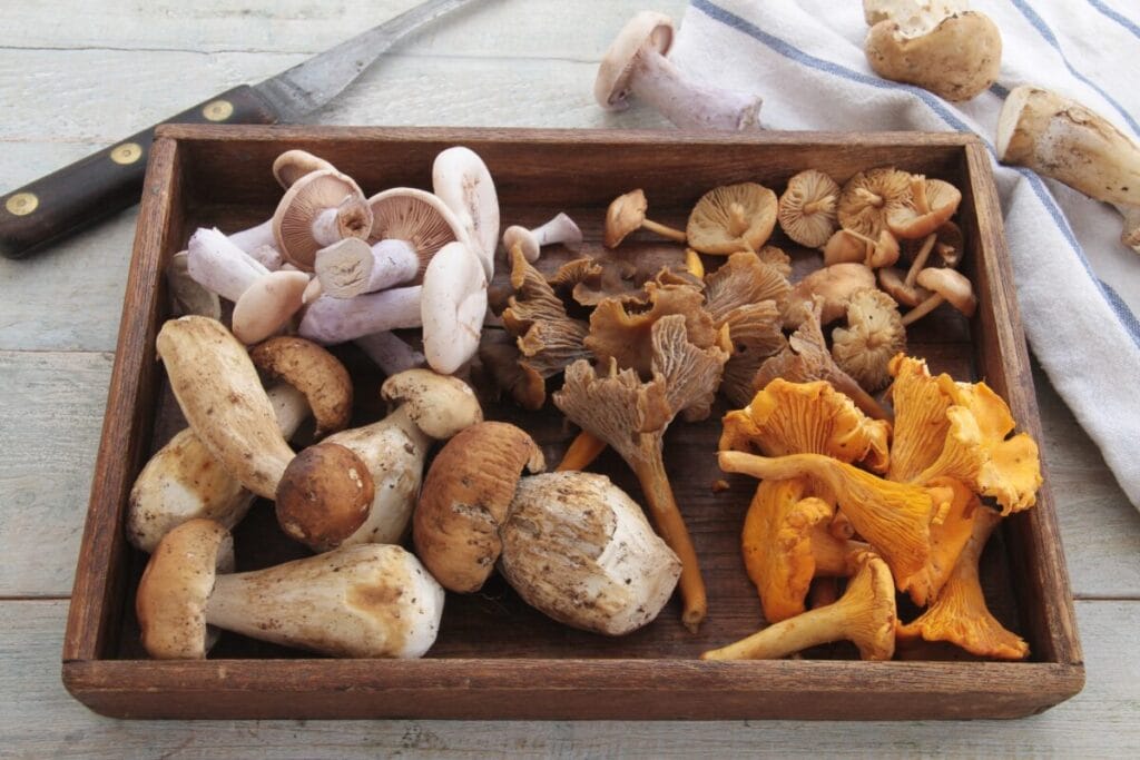 Jakie są jesienne superfoods?
